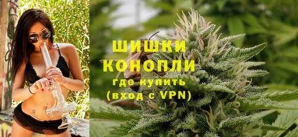 spice Богданович