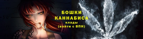 spice Богданович