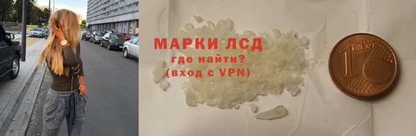 spice Богданович