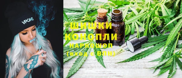 дурь Богородицк