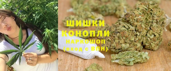 spice Богданович