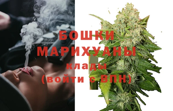 тгк Богородск