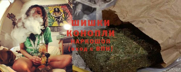 дурь Богородицк