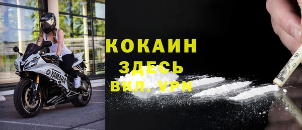 spice Богданович